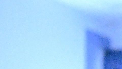 Un grupo de compañías están fabricando equipo de protección personal para luchar contra el COVID-19