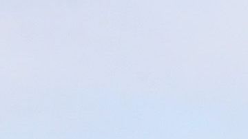 Una gran cantidad de trabajadores han denunciado que no cuentan con suficientes equipo protección.