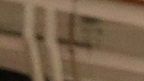 La marca Cottonelle donará un dólar por cada mensaje compartido en redes sociales a una fundación.