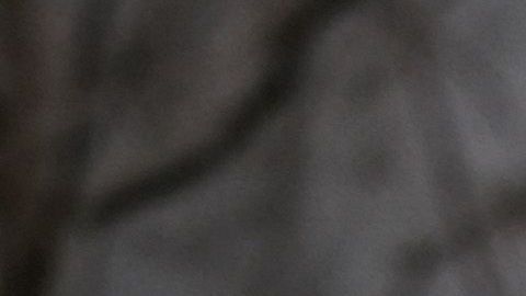 Economía coronavirus