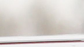 Fauci espera que Nueva York siga pronto la misma dinámica que Italia.