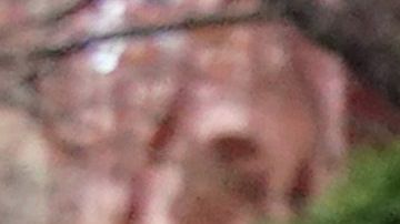 Personas en fila para comprar alimentos en Nueva York.