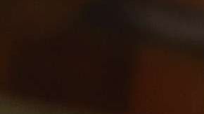 Exhibición de armamento en una tienda de los Estados Unidos. Foto de archivo.