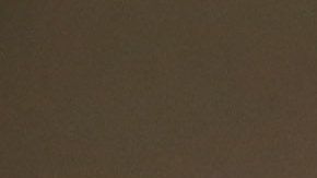 El cuadro refleja una sátira ante el comportamiento de los consumidores por la pandemia.