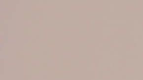 Tampa Bay Buccaneers