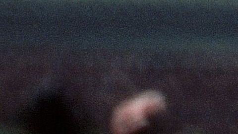 El 'Toro de Etchohuaquila' cautivó a la afición de los Dodgers desde el comienzo.