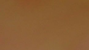 Foto: Justin Sullivan/Getty Images