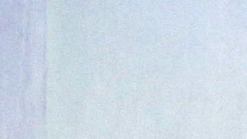 La modelo es una fiel seguidora de las Águilas.