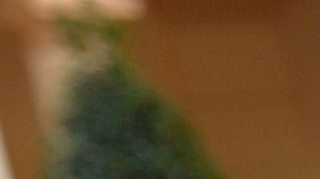 Goya cuenta con una gran variedad de alimentos dirigidos a la comunidad hispana.