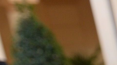 Goya cuenta con una gran variedad de alimentos dirigidos a la comunidad hispana.