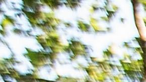 Debido a la crisis por coronavirus, muchos residentes en la Gran Manza se verán imposibilitados de pagar la renta.