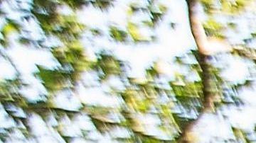 Debido a la crisis por coronavirus, muchos residentes en la Gran Manza se verán imposibilitados de pagar la renta.