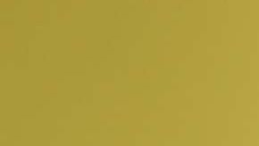 Salma Hayek recibe premio por su trayectoria en Cannes.