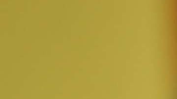 Salma Hayek recibe premio por su trayectoria en Cannes.