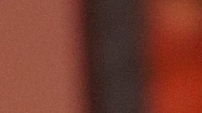 La dupla violó la orden de distanciamiento social aplicada en Texas.