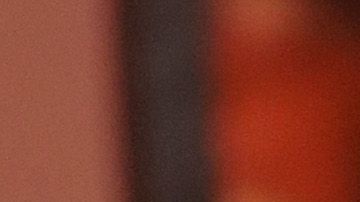 La dupla violó la orden de distanciamiento social aplicada en Texas.