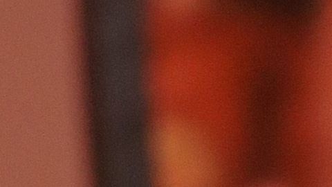 La dupla violó la orden de distanciamiento social aplicada en Texas.