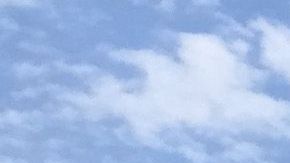 El incumplimiento coincide con las más de 16 millones de solicitudes de seguro de desempleo que han sido presentadas.