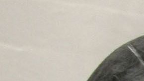 Estados Unidos tiene suficientes existencias de carne.