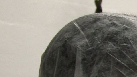 Estados Unidos tiene suficientes existencias de carne.