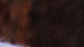 MEXICO-US-BORDER-MIGRANTS-RIGHTS