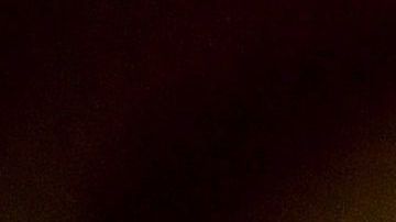 La pareja real siempre se distingue por su complicidad y apoyo mutuo.