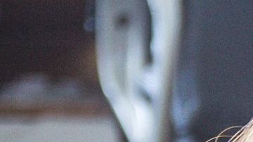 Algunas personas buscan tener más compañía adoptando a una mascota.