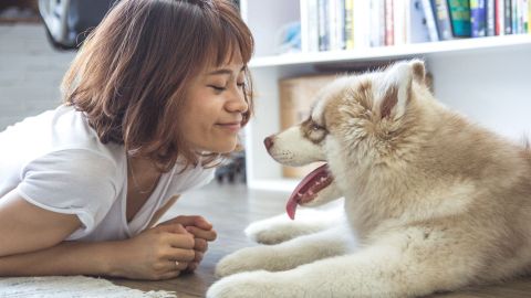 Algunas personas buscan tener más compañía adoptando a una mascota.