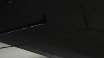 Carlos Molina cuenta con el apoyo del gobierno para realizar la velada de boxeo.