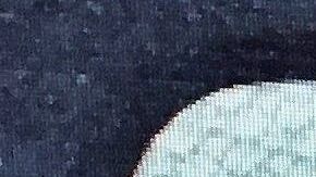 El Departamento de Estado recuerda que el sorteo es gratuito.