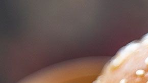 No tienes que salir de casa para disfrutar de una hamburguesa estilo Burger King.