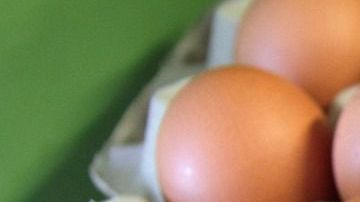 Huevos-annigje en Pixabay