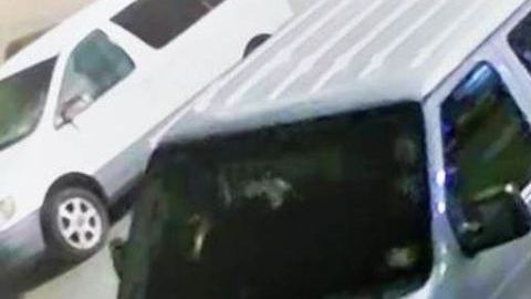 Cuatro ladrones y otro cómplice huyeron en este auto