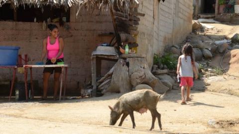 Las ausencias de quienes se fueron a EEUU si bien parecieran necesarias, duelen a la mayoría de  habitantes de Dos Arroyos, quienes cada fin de semana esperan sus llamadas y el afecto enviado en las remesas.