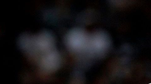 Kobe Bryant superó el récord de anotación de Michael Jordan.