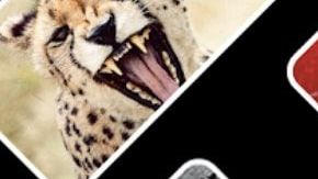 Quibi llega el 6 de abril.