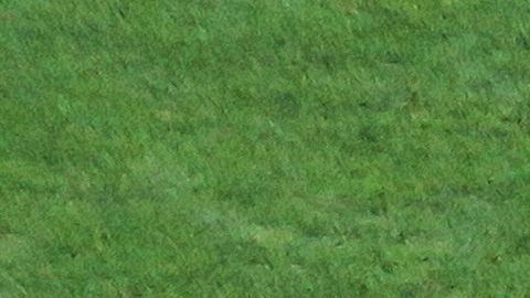 El técnico aun no ha podido arreglarse con el Monterrey.