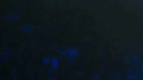 Es cuestión de tiempo que veamos la tercera edición del duelo "Canelo" vs. Glolovkin.