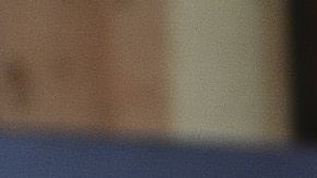 Almeyda se ha enamorado del fútbol mexicano.