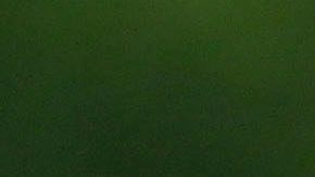 Andrés Guardado recibió permiso para abandonar la concentración de la Selección Mexicana.