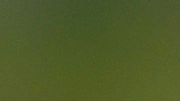 Héctor Moreno se negó a volver a México para jugar con Chivas.