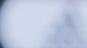 Martino no ha podido dirigir ningún encuentro en el 2020.