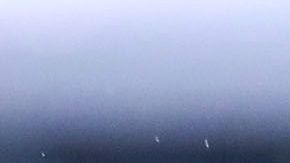 Alondra González dejará a las Águilas.