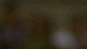 Chivas y Juárez empataron 5-5.