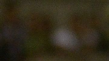 Chivas y Juárez empataron 5-5.