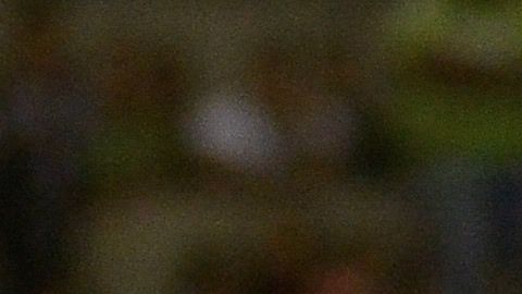 Chivas y Juárez empataron 5-5.