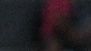 Acosta comandó con categoría al conjunto de Guadalajara.