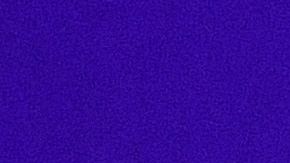 Enrique Bonilla dio positivo para coronavirus.