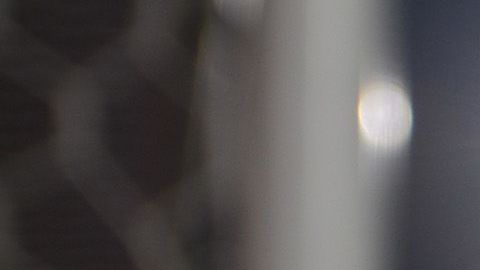 El balón, el ovoide, la pelota y los motores se pararon por la pandemia del coronavirus.