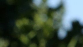 Los trabajadores del campo entre los más expuestos al coronavirus.(Photo by Aurelia Ventura/La Opinion)